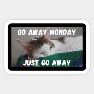 Funny Cats Sticker